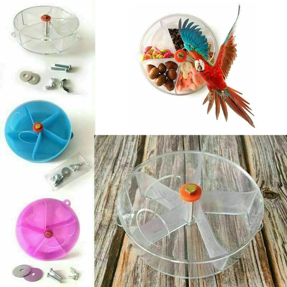 1PCS bird parrot cake model design food box brain game toy funny parrot roller feeder toy wheel