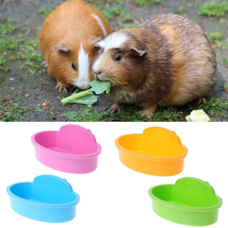 Bird Hamster Bowl Small Pet Cage Hanging Drink Food Feeder Cup Feeding Bathing Tools