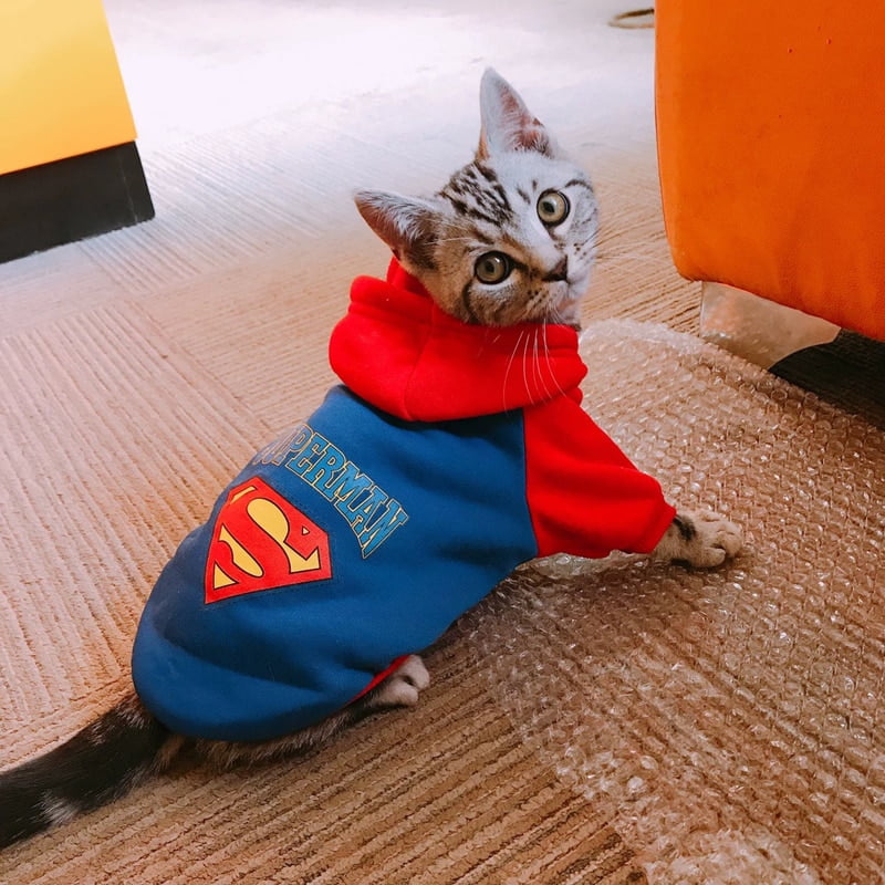 Cartoon Cat Hoodie Sweater Winter Warm Pet Cat Clothes for Small Cats Cotton Kitten Coat Jacket Cat Costumes Pet Dog Clothing