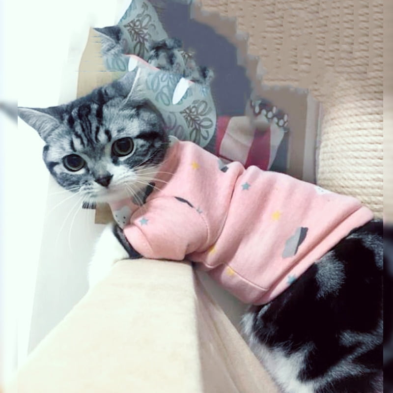 Cat Warm Clothes Autumn Winter Pet Clothing For Cats Rabbit Soft Sweater Kitten Kitty Outfits Dog Cat Coats Jacket Costumes