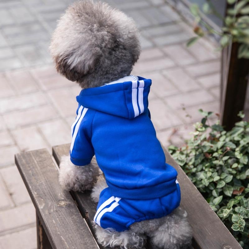 Fashion Dog Clothes Winter Pets Dogs Clothing For Small Medium Dogs Coat Jacket Chihuahua Dog Costume Cartoon Pet Clothing York