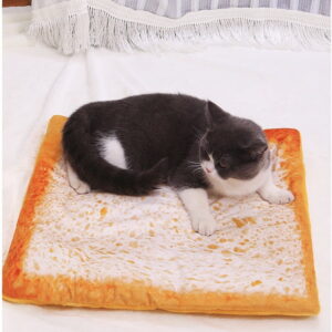 New Style Cat Bed Funny Mat and Blanket Cute Cozy Cat Mat Sleeping Beds Warm Durable Pet Dog Cushion Dog & Cat Supplies