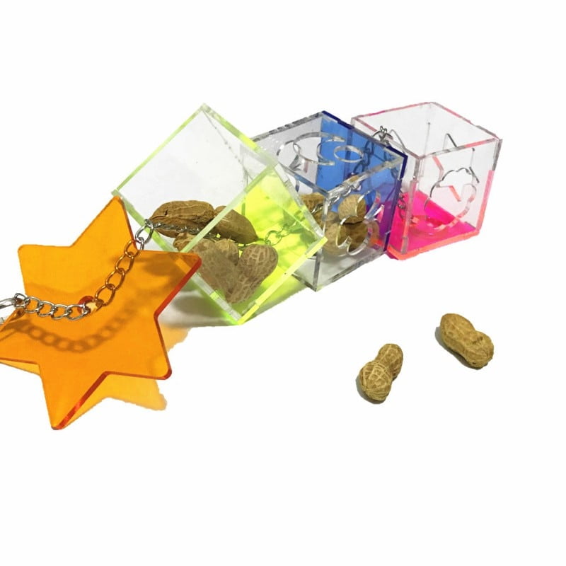 Parrot Hanging Toy 3 Layer Transparent Food Feeder Holder Hanging Forage Star Shaped Box Cage Chewing Feeding Toys