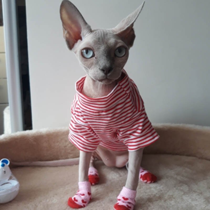 Plaid Cat Clothes Autumn Winter Pet Clothing for Small Cats Dogs Cotton Cat Costumes Soft Kitten Kitty Coat Jacket Puppy Outfit