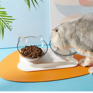 Raised Double Dog Cat Bowls with Anti Slip Stand 15 Degree Tilted Elevated Feeders Cute Pet Food Feeding Water Cats Feeder Bowl