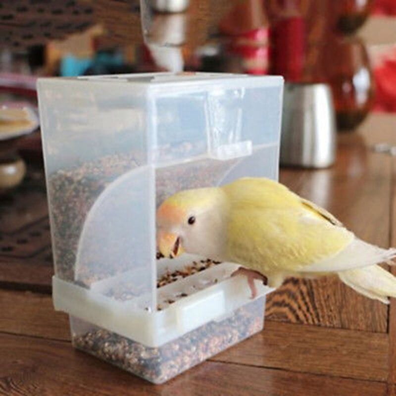 Small Size 10x12x7.5CM Bird Poultry Feeder Automatic Acrylic Food Container Parrot Pigeon Splash Proof