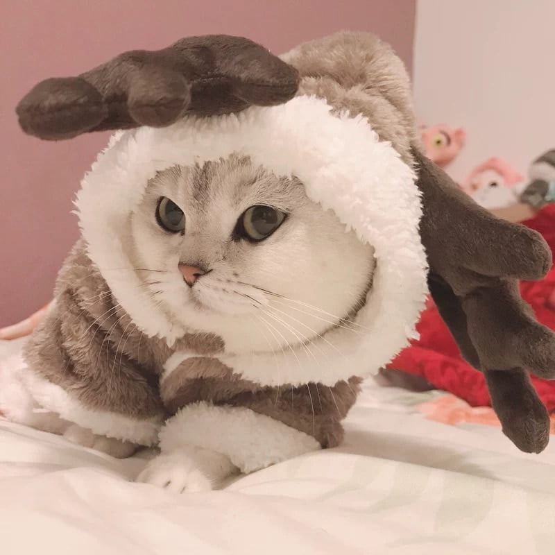 Winter Cat Clothes Warm Fleece Pet Costume For Small Cats Kitten Jumpsuits Clothing Cat Coat Jacket Pets Dog Clothes