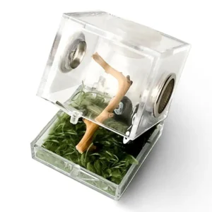 1PCS Reptiles Breeding Box Clear Acrylic Cage Habitat Insect Feeding Box Terrarium Tank Escape Proof For Jumping Spider