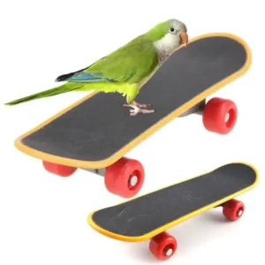 Bird Toy Fun Mini Skateboard Parrot Toy Training Skateboard Budgie Parakeet Growing Toy Smart Bird Accessories Bird Toys Budgie