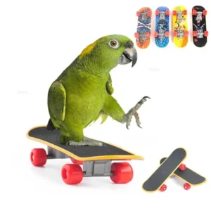 Bird Toy Fun Mini Skateboard Parrot Toy Training Skateboard Budgie Parakeet Growing Toy Smart Bird Accessories Bird Toys Budgie