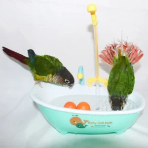 Parrot Automatic Bathtub Blue Plastic Cute Parakeet Lovebird Feeder Bowl Bird Accessories Household Supplies