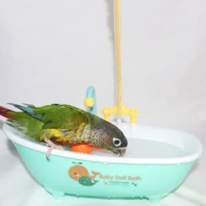 Parrot Automatic Bathtub Blue Plastic Cute Parakeet Lovebird Feeder Bowl Bird Accessories Household Supplies