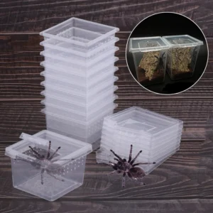 Reptile Breeding Box Habitat Lizard Snake Amphibian Acrylic Cage Frog Spider Transparent Feeding Box Insect Breathable Terrarium