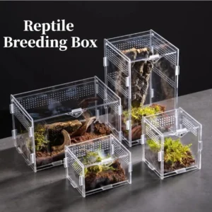 Transparent Acrylic Reptile Terrarium Habitat Breeding Box Reptiles Cage Nano Arboreal Tarantula Enclosure for Spider Scorpion