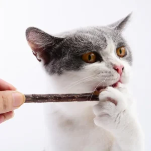 5 Sticks/bag Cat Chews Products All Natural Catnip Sticks Teeth Cleaning Cat Sticks Wood Tengo Molar Sticks For Cats Of All Ages