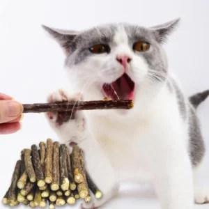 5 Sticks/bag Cat Chews Products All Natural Catnip Sticks Teeth Cleaning Cat Sticks Wood Tengo Molar Sticks For Cats Of All Ages