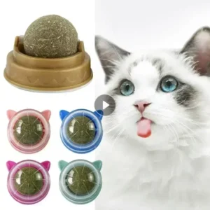 Natural Ball Removal Cats Catnip Cat Toy Cat Grass Treats to Improve Digestion Wall Sticker Scratch Itchy Treat Healthy Supplies