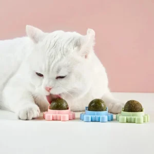 Natural Catnip Cat Rotatable Catnip Wall Ball Toys Licking Snacks Healthy Nutrition Ball Teeth Cleaning Catnip Toy Pet Supplies