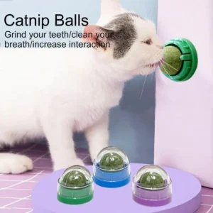 Natural Catnip Cat Rotatable Catnip Wall Ball Toys Licking Snacks Healthy Nutrition Ball Teeth Cleaning Catnip Toy Pet Supplies