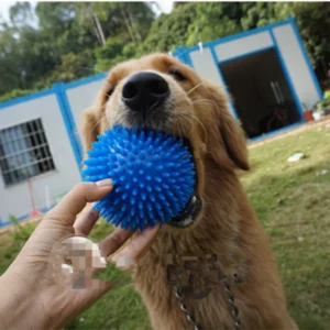 Pet Dog Toys Cat Puppy Sounding Toy Polka Squeaky Tooth Cleaning Ball TPR Training Pet Teeth Chewing Toy Thorn Balls Accessories