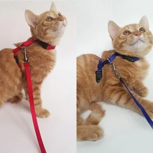 Pet Harness Adjustable Safe Nylon Cat Puppy Collar Lead Leash Traction Safety Rope